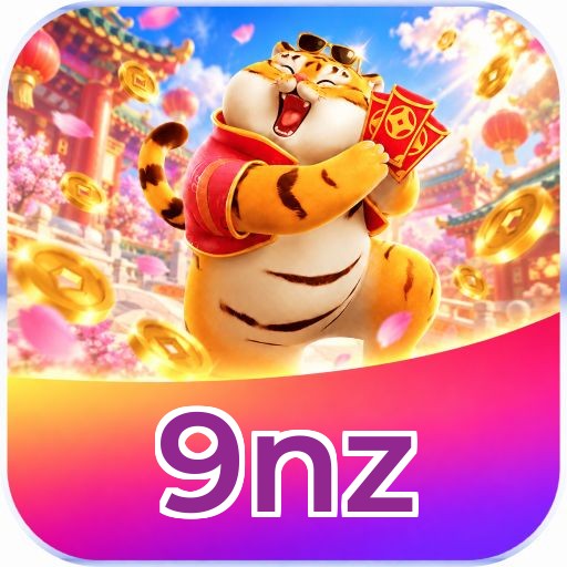 9nz erros de instalação e correção