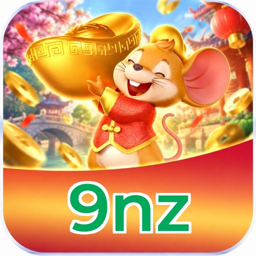 9nz Segurança