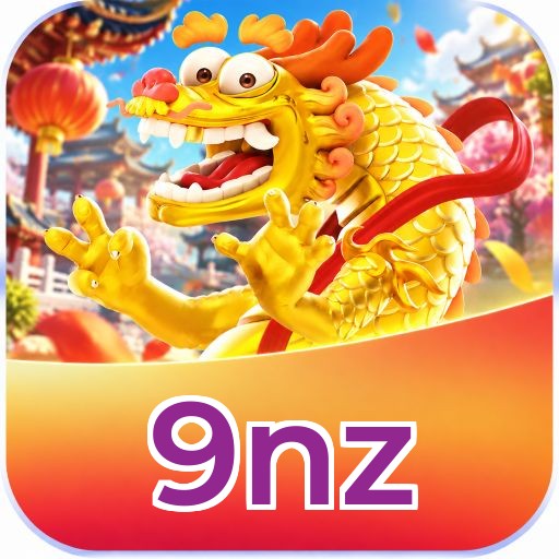 9nz Security Analysis